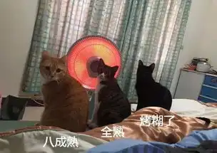 终于找到自己傻逼的原因了
