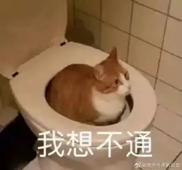 我怎么就喜欢看猫拉屎呢,哈哈哈太搞笑了
