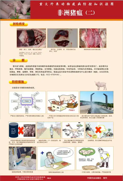 分享非洲猪瘟防控知识挂图来啦

