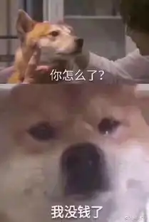 pp殿下的微博微博
