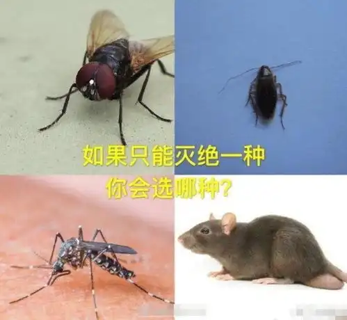 搞笑趣图苍蝇,蟑螂,蚊子,老鼠,如果只能灭绝一种,你选择哪一个腾讯新闻
