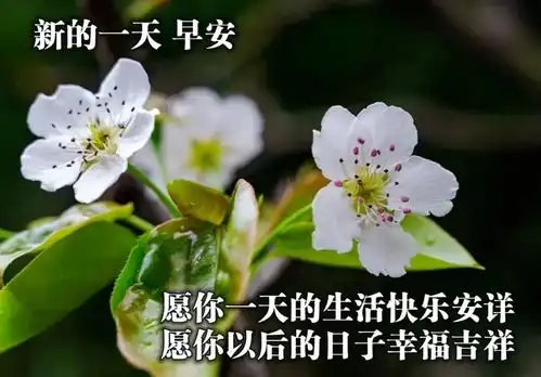 每日问候的早安动态祝福图片最新的早上好动态表情包
