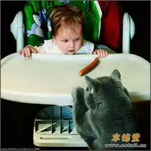 搞笑周末10p
