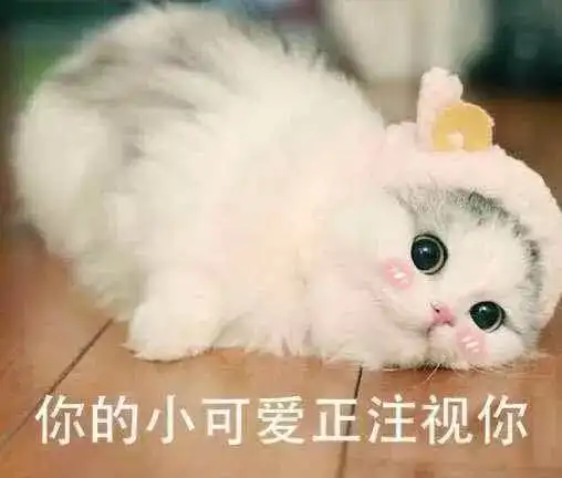 全门派无辜乖巧的正确方式
