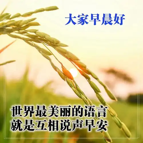 天冷降温早上好注意保暖图片表情带字简单
