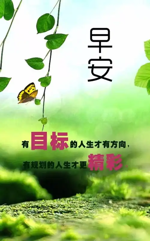 早安心语正能量早安语录励志图片
