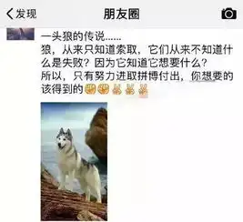 大王搞笑图片段子啪啪啪必备两个条件
