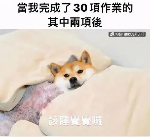一个单身男人能有多么寂寞搞笑囧图
