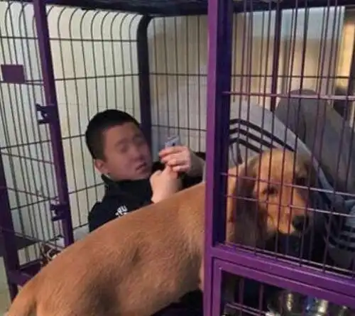 动物也搞笑有这样的主人,心真的好累
