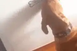 搞笑段子幽默笑话吃饭归吃饭,口红不能吃没掉
