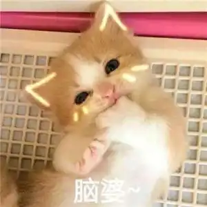 李姐笑话姑姑姑父,我,我可能是猪八戒转世
