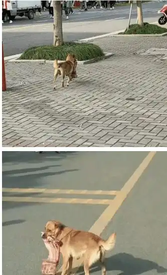 搞笑图集从沙雕寝室找出来的,真笑死我了
