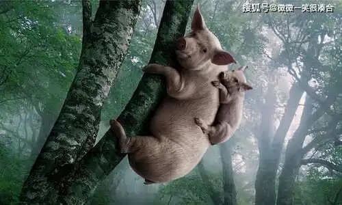 超有爱的幽默情侣爆笑
