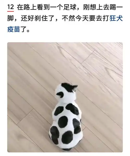 搞笑图集未成年人的崩溃往往就在一瞬间斗地主都不让我玩
