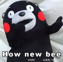 双11领导竟然这么做
