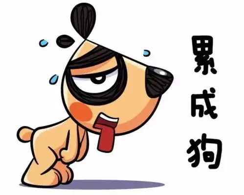 匠心打造百里挑一好月嫂
