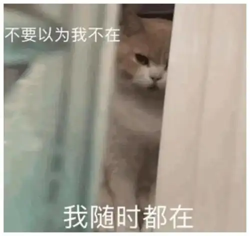 表情包不要以为我不在,我随时都在
