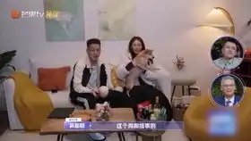 金晨卡斯柏幽默对话接梗不断,一张耳朵照片惹爆笑

