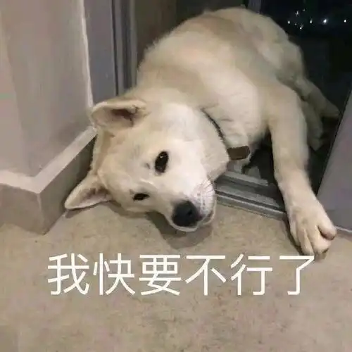搞笑gif开心一刻姑娘,你还想占点便宜啊
