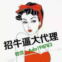 有谁知道迪茉怎么代理吗
