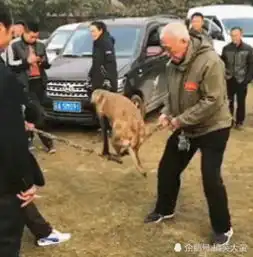 搞笑gif趣图你就是传说中的李十针吧
