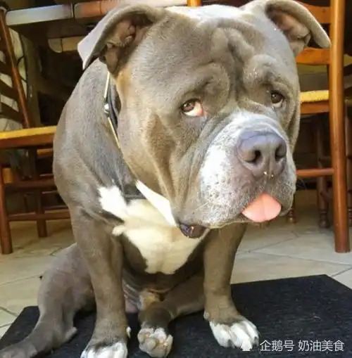 搞笑段子一对情侣闹分手,女孩哭着离开,男孩原地站着发呆,这时
