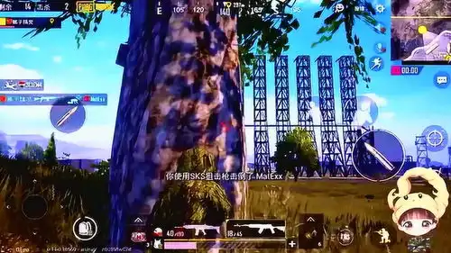 爆笑吃鸡决赛圈遭遇3个满编小队,sks强悍1v12,10杀强势吃鸡
