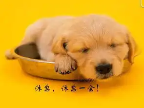 美容院产品过敏介绍及处理方式
