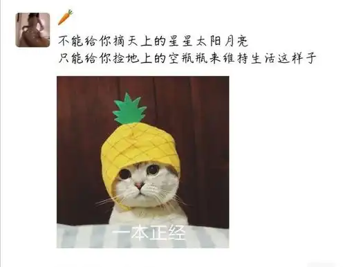 沙雕爆笑幽默诙谐的搞笑图片,逗你开心逗你笑,记得爆笑哦
