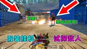 爆笑吃鸡2134人合伙钓鱼我当诱饵,奇葩演技,让敌人主动送快递
