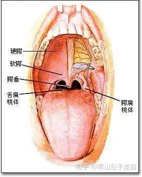 打呼噜会吵到宝宝睡觉吗
