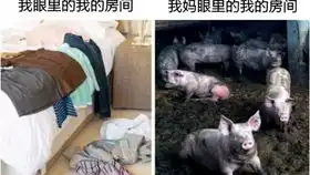 网络上的爆笑沙雕图片集锦第40期
