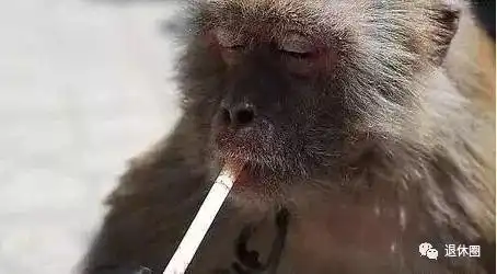 罕见的动物搞笑照片,你看过几张,看完别笑傻了哦

