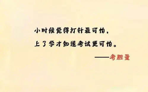搞笑gif小乌龟,你这是长了个轮子吗笑的肚子疼

