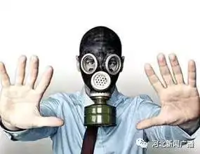 雾霾防护常识十三问发布霾天真的不能炒菜吗
