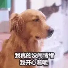 升温升温狂飙至22临沂人这些事必须要知道
