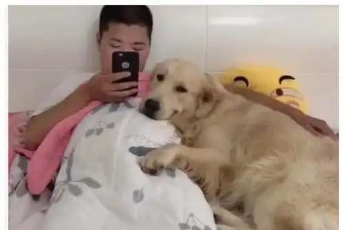 想养一只狗我怕你承受不了它的沙雕,先看看这15张搞笑图片吧
