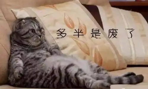 每天早餐不重样二十每一款都合适孩子的早餐
