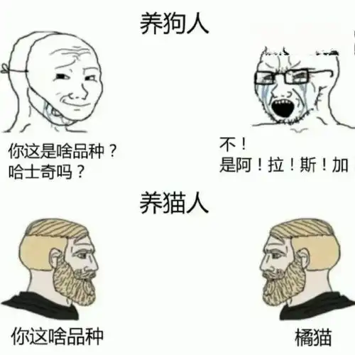 搞笑趣图当老师说做不完这道题谁都不准走时
