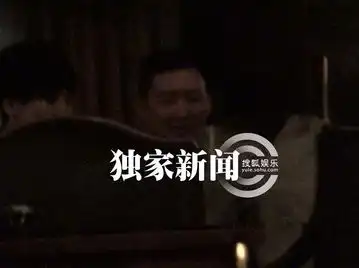 杜汶泽酒店会美女比手画脚表现激动高清组图
