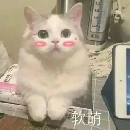 猫咪表情包小哥哥处对象吗
