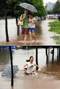 看似浪漫的画面,下一步或许就有危险
