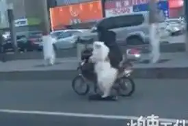 幽默搞笑段子集当你女朋友跟你说有蚊子咬我,你该如何回答
