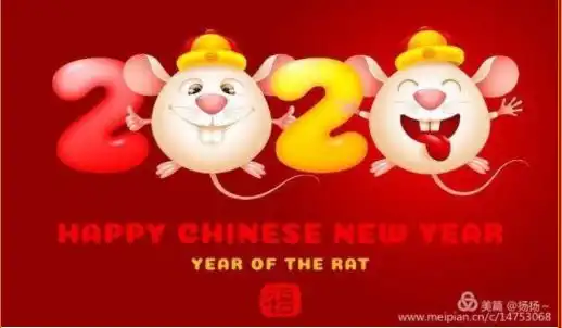 过年喽,金太阳花馍驾到
