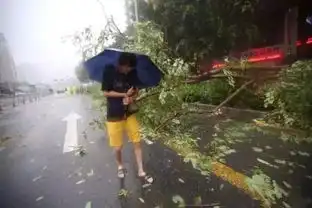 山竹登录,狂风暴雨席卷深圳全城,看朋友圈就知道哪里受灾最严重
