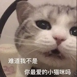 搞笑表情包拿图片你说啥,欠揍
