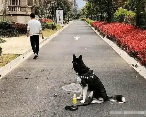 搞笑趣图仔坐地铁竟然看到初恋女友,傻丫头还是喜欢玩手机
