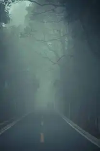 用镜头向雾霾宣战雾霾美学大片摄影的正确打开方式

