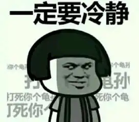 搞笑段子你开车还要放手刹,我妈不放手刹可以开回家
