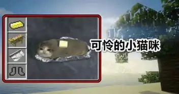 我的世界10张趣图哪个最有趣95玩家都认同最后一张
